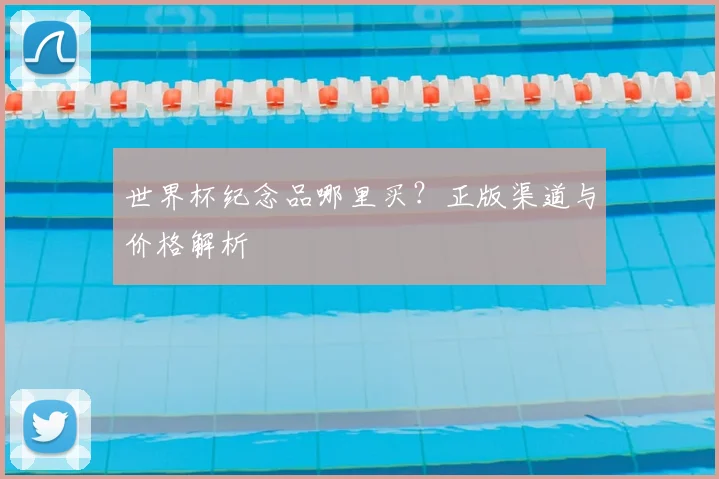 世界杯纪念品哪里买？正版渠道与价格解析